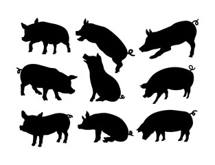 pig silhouette vector image collection
