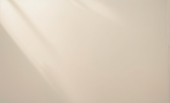 Light and shadow on a plain wall creating a soft abstract background. Premium background designs for wallpaper, banners and posters.