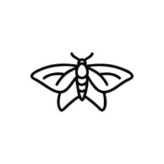 dragonfly isolated on white background