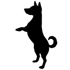 Animals dog silhouette set