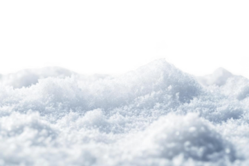 Winter, Snowy Landscape with black sky and a fluffy White Blankets
