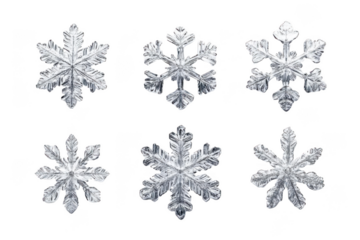 Snowflakes Isolated on Black Background, Winter Season Concept, Frosty Pattern