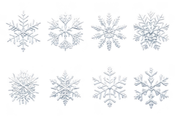 snowflake, Eight Ornamental Decoration on Winter Season and Frozen Effect