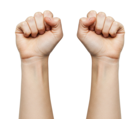 Raised Fists: Two Arms Extending Upwards with Clenched Fists, Isolated Against a White Background, Symbolizing Power or Protest