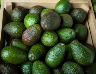 Fresh Ripe Avocados Piled Together in a Full Frame Close-Up
