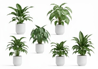 Fototapeta premium Collection of potted houseplants in white pots against a white background