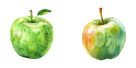 cute sugar apple watercolor vector illustration