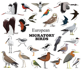 European Migratory Birds Set Vector Collection