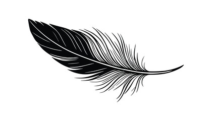Obraz premium Detailed line art illustration of a black feather on white