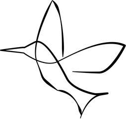 Minimalist one-line drawing of a hummingbird in flight, black lines on a white background.