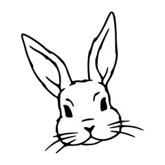 Obraz premium rabbit head outline vector illustration