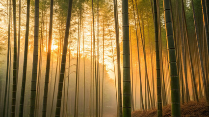 Fototapeta premium Watercolor Eco-Friendly concept. Bamboo forest bathed in golden sunlight.