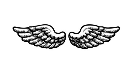 Handdrawn Angel Wings Vintage Style Design Element.
