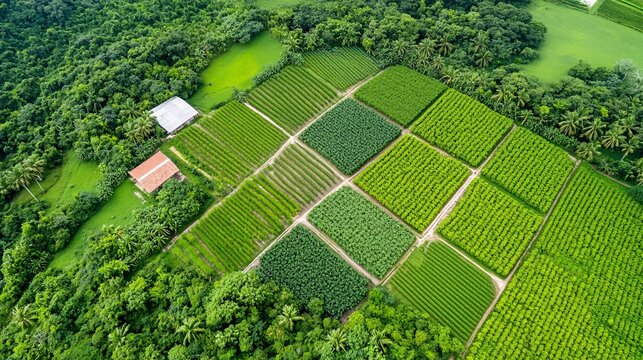 Sustainable Agriculture Practices Enhancing Biodiversity in Fields