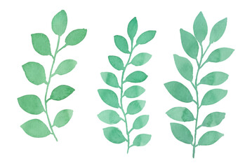 Assortment of watercolor leaves illustration set - green leaf branches collection for wedding, greetings, stationary, wallpapers, fashion, background. olive, green leaves, Eucalyptus etc