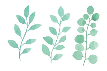 Assortment of watercolor leaves illustration set - green leaf branches collection for wedding, greetings, stationary, wallpapers, fashion, background. olive, green leaves, Eucalyptus etc