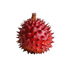 Single buriti fruit with dark reddish brown scales showcases its unique texture and vibrant