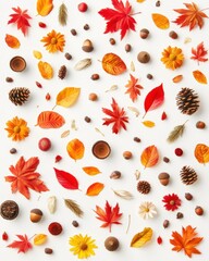 Autumnal Still Life Flat Lay featuring Fall Leaves Acorns Pine Cones and Flowers on White Background Overhead Shot