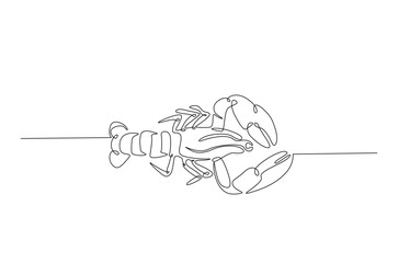 Lobster in continuous one line drawing. Single line art illustration of crayfish lobster. Editable vector.