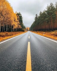 Fototapeta premium Autumn road perspective through forest landscape with fall foliage and overcast sky scenic travel destination