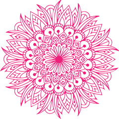 Beautiful flower art and mandala vector design