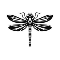 Insect macro vector featuring dragonfly with transparent wings for creative nature art wildlife studies bug graphics and realistic entomology themed visuals