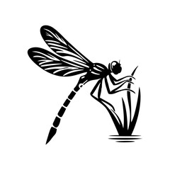 DRAGONFLY-1.eps