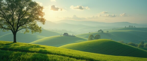Naklejka premium Breathtaking view of lush green rolling hills with a lone tree, bathed in warm sunlight under a serene sky