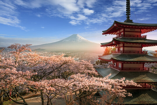 Fujiyoshida, Japan Beautiful view of mountain Fuji and Chureito pagoda at sunset, japan in the spring with cherry blossoms