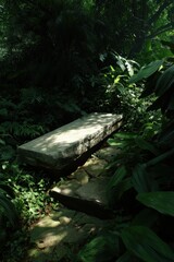 Serene Stone Bench Amidst Lush Greenery in a Tranquil Garden Setting with Natural Light