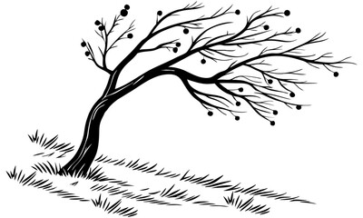 Minimalist black and white drawing of a twisted tree on a grassy hill branches ending in round fruit. Curved grass lines plain white background abstract style calm and serene feel.

