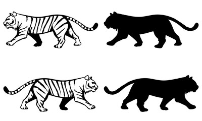 Black & white vector of a white tiger with black stripes in 4 cartoon poses: front view (head right), side view (head left), rear view (head right), and side view (head left)—plain white background