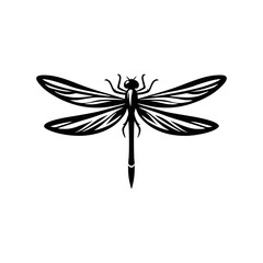 Nature Inspired Dragonfly Vector Art with Flying Insect Macro Detail and Transparent Wings for Wildlife Illustration
