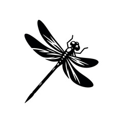 Dragonfly Vector Image with Macro Insect Detail and Transparent Wings for Beautiful Nature Wildlife Design Use

