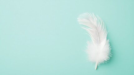 Minimalist tranquil scene with single fluffy feather against serene background