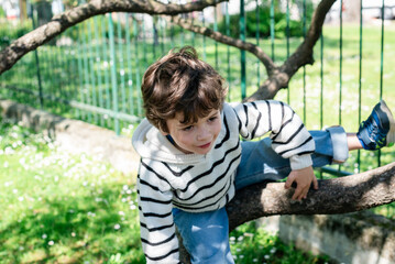 Child climbing a tree in a sunny park
