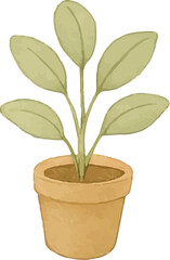 A small potted plant with fresh green leaves, adding a natural touch to any coffee shop or café, creating a calm and cozy environment