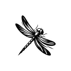 Vector Art of Dragonfly Flying Insect with Transparent Wings and Macro Details for Nature Wildlife Illustration