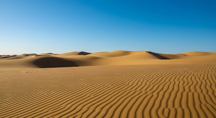 Desert sand dunes with rippling patterns under a blue sky (horizontal).
