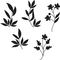 Highly Detailed Single Leaf Illustration Botanical Vector Graphic for Design Projects