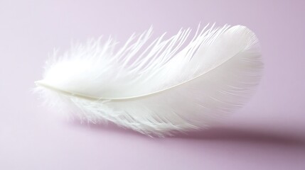 Obraz premium Soft White Feather Isolated on a Light Purple Background in Macro Photography