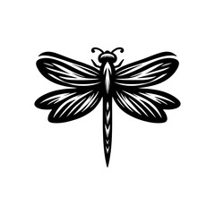 Summer Dragonfly Vector Design with Transparent Wings and Macro Detail for Wildlife Insect Nature Illustration