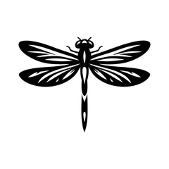 Flying Dragonfly Vector Macro Insect Art Featuring Transparent Wings and Natural Wildlife Design Illustration