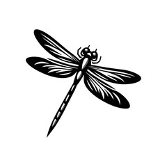 Nature Dragonfly Vector Illustration with Transparent Wings and Macro Detail of Flying Insect for Wildlife Art

