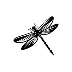 Macro Vector Dragonfly Illustration of Flying Insect with Transparent Wings and Elegant Wildlife Natural Detail Design