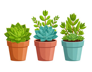 Obraz premium Vibrant Succulents in Terracotta and Teal Pots: Home Decor