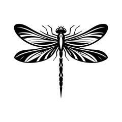 Colorful Vector Illustration of Dragonfly Flying Insect with Transparent Wings and Natural Details for Macro Wildlife Animal Artwork