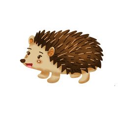 hedgehog on a white background