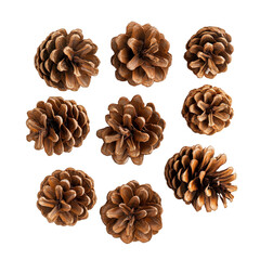 Pine cones displayed together on a clean transparent background showcasing their natural textures and forms, pine cones isolated on transparent background