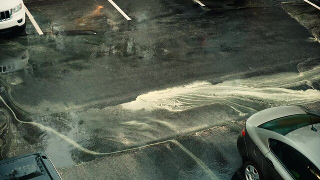 Large amount of pollen on parking lot after the spring rain. Pollen rivers on the parking lot